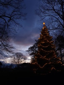 Weihnachtsbaum (Sabine)